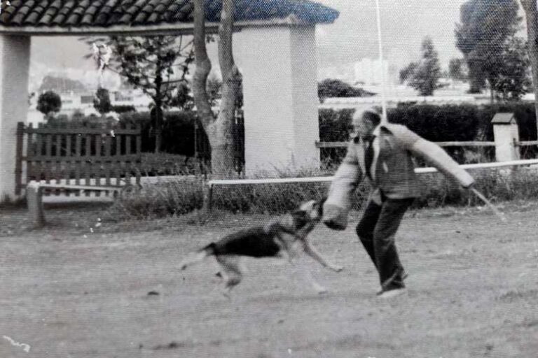 historia de appa valle